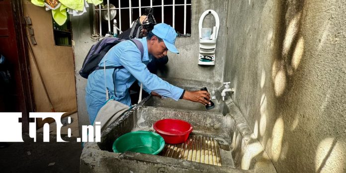 1 Foto: Brigadas de Salud fumigan 600 viviendas para prevenir enfermedades en Managua/TN8