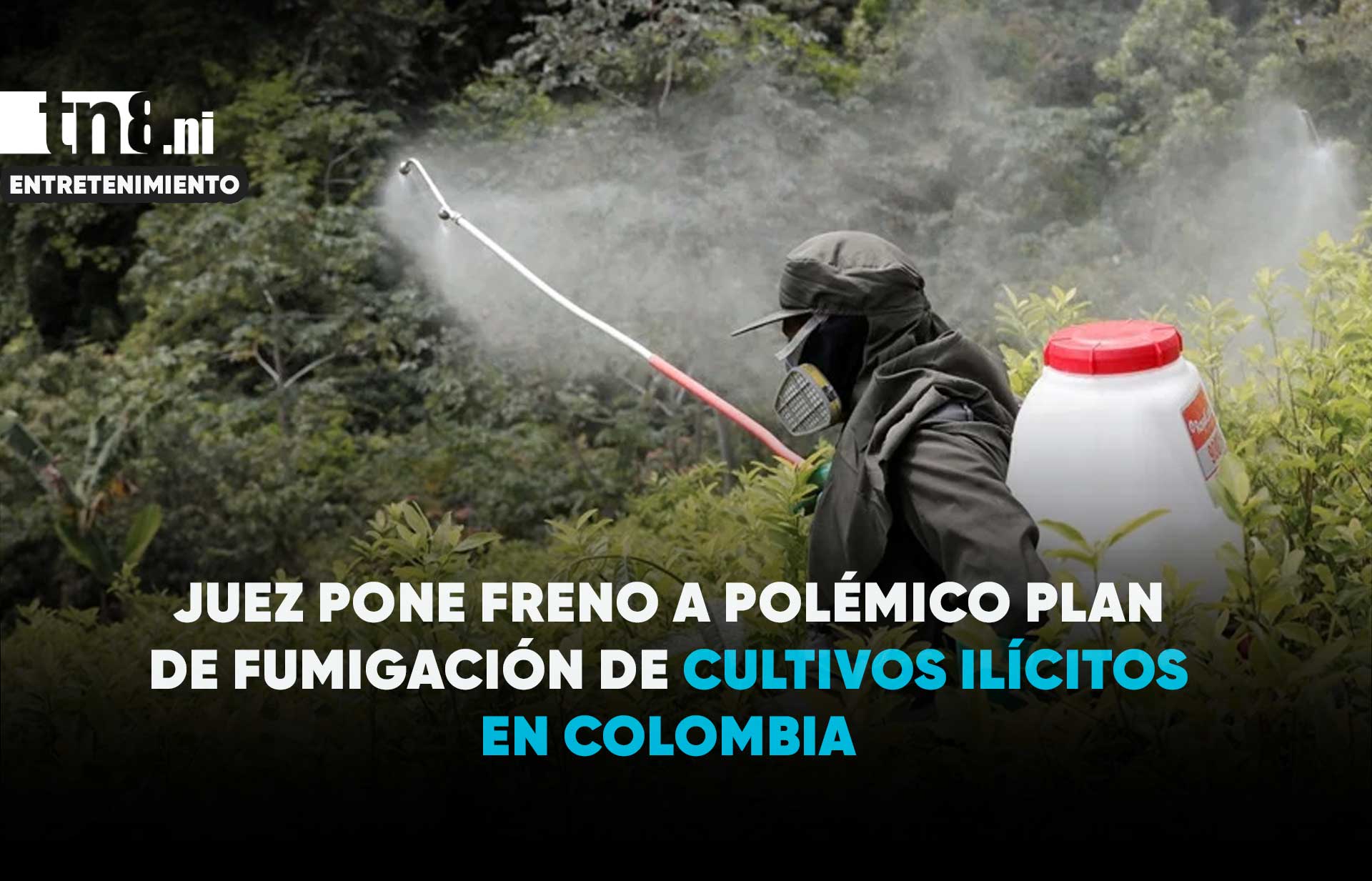 Foto: Juez frena fumigación de cultivos ilícitos impulsada por el Gobierno de Colombia / Cortesía