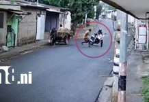Motorizado sufre accidente al esquivar a peatón en el barrio Enrique Smith, Managua Foto: Motorizado sufre accidente al esquivar a peatón en el barrio Enrique Smith, Managua / TN8