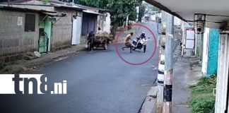 Foto: Motorizado sufre accidente al esquivar a peatón en el barrio Enrique Smith, Managua / TN8