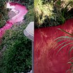 Foto: El río se tiñe de rojo: una extraña señal alarma a Guatemala/Cortesía