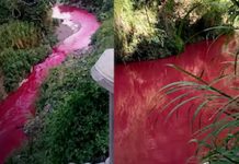Misterio y alarma: un río aparece completamente rojo en Guatemala Foto: El río se tiñe de rojo: una extraña señal alarma a Guatemala/Cortesía