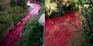 Foto: El río se tiñe de rojo: una extraña señal alarma a Guatemala/Cortesía