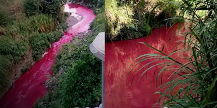 Foto: El río se tiñe de rojo: una extraña señal alarma a Guatemala/Cortesía