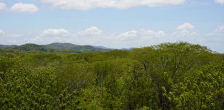 Foto: Fortalecen acciones de conservación en la Reserva Silvestre Privada Finca Tonantzin/Cortesía