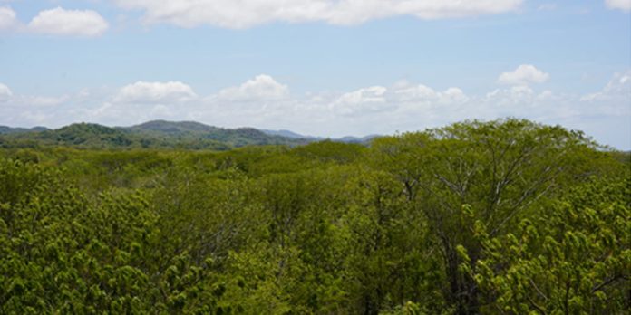 1 Foto: Fortalecen acciones de conservación en la Reserva Silvestre Privada Finca Tonantzin/Cortesía