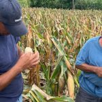 Cepal alerta por impacto económico de un posible Súper El Niño Foto: Artistas protestan por recortes en Colombia/Cortesía