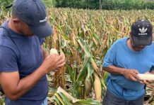 Cepal alerta por impacto económico de un posible Súper El Niño Foto: Artistas protestan por recortes en Colombia/Cortesía