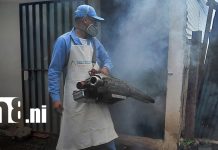 Brigadas de salud intensifican fumigación contra el dengue en barrio Mirna Ugarte, Managua Foto: Managua: Refuerzan fumigación contra el dengue en Mirna Ugarte,Managua /tn8