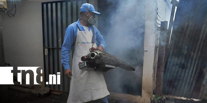 Foto: Managua: Refuerzan fumigación contra el dengue en Mirna Ugarte,Managua /tn8