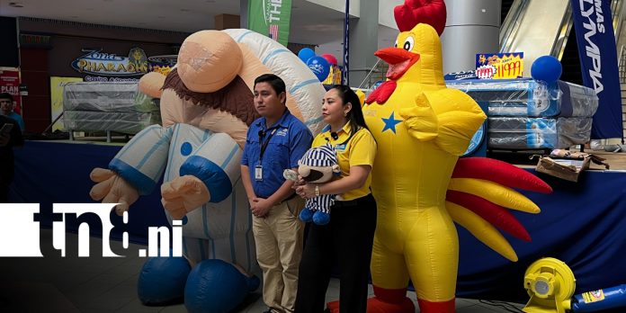 Foto: ¡Gallo Más Gallo y Olimpia lanzan “La Feria de los Sueños” con grandes descuentos!/TN8