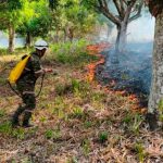 Incendios amenazan una de las principales reservas naturales de Colombia Foto: Alerta en Colombia: incendios consumen 65.000 hectáreas de bosques en Tolima/Cortesía