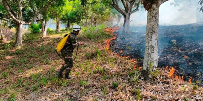 1 Foto: Alerta en Colombia: incendios consumen 65.000 hectáreas de bosques en Tolima/Cortesía