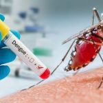 Foto: Dengue, chikungunya y malaria registran incrementos en Nicaragua/Cortesía