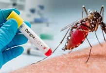 Nicaragua reporta aumento de casos de dengue y chikungunya Foto: Dengue, chikungunya y malaria registran incrementos en Nicaragua/Cortesía