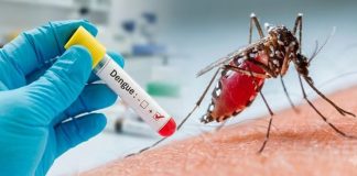 Foto: Dengue, chikungunya y malaria registran incrementos en Nicaragua/Cortesía