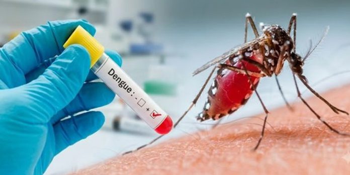 Foto: Dengue, chikungunya y malaria registran incrementos en Nicaragua/Cortesía