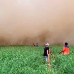 Indonesia bajo fuego: El Niño intensifica la sequía y los incendios Foto:Indonesia confirma que El Niño agrava incendios en plantaciones de aceite de palma/Cortesía
