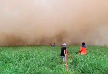 Foto:Indonesia confirma que El Niño agrava incendios en plantaciones de aceite de palma/Cortesía