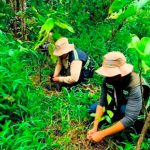MARENA impulsa la reforestación en el Caribe Norte con miles de plantas Foto: MARENA impulsa la reforestación en el Caribe Norte con miles de plantas/Cortesía