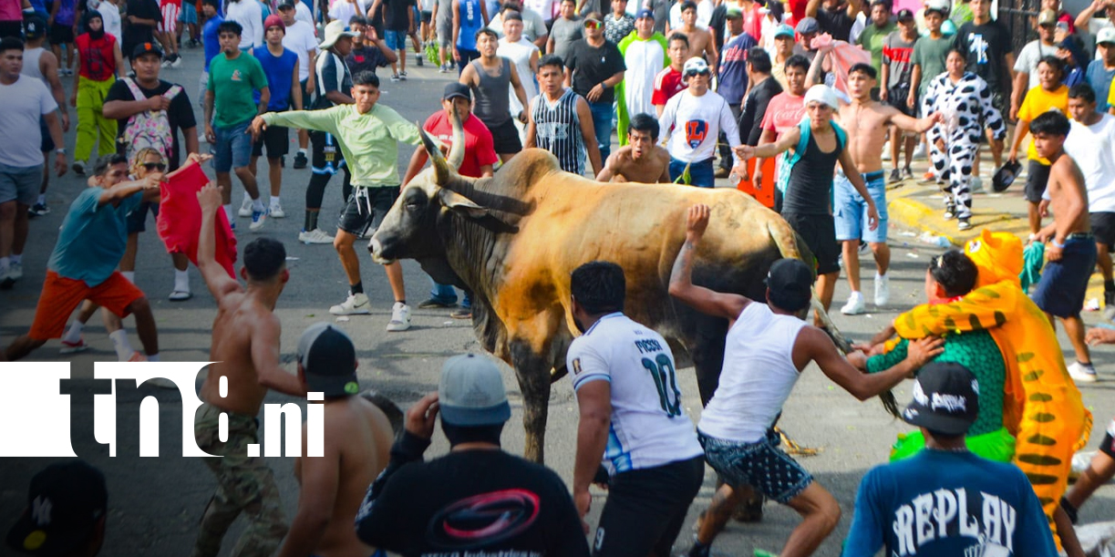 Foto: Masaya se llena de música y adrenalina con el Tope de Toros/TN8