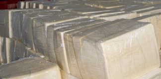Foto: Sector lácteo de Nicaragua alcanza 149 millones de libras de queso y cuajada/Cortesía