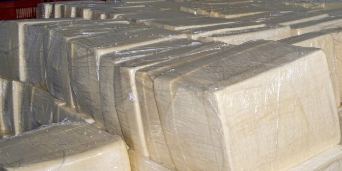 Foto: Sector lácteo de Nicaragua alcanza 149 millones de libras de queso y cuajada/Cortesía Foto: Sector lácteo de Nicaragua alcanza 149 millones de libras de queso y cuajada/Cortesía
