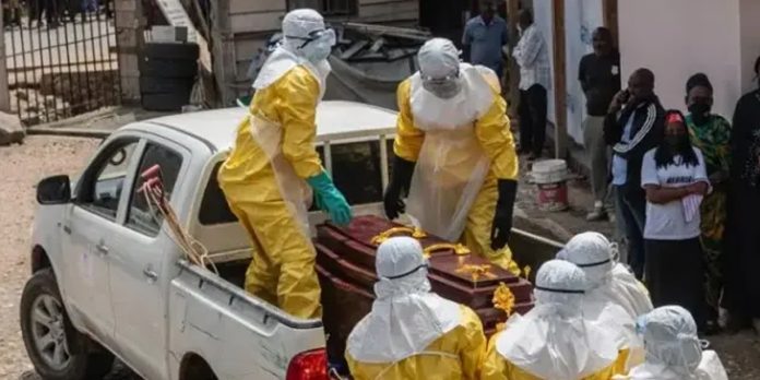 Foto: Ébola fuera de control: OMS pide recursos urgentes para evitar un colapso sanitario/Cortesía Foto: Ébola fuera de control: OMS pide recursos urgentes para evitar un colapso sanitario/Cortesía