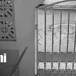 Foto: Intento de robo frustrado en vivienda del barrio Las Américas 3/TN8