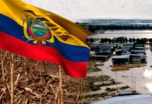 Ecuador se prepara ante posible impacto extremo de El Niño entre octubre y diciembre Foto: Ecuador se prepara ante posible impacto extremo de El Niño entre octubre y diciembre / Cortesía