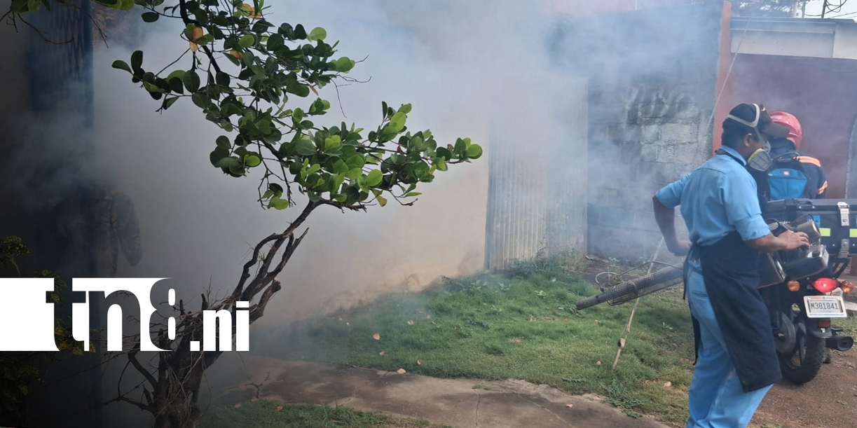 Foto:Managua intensifica lucha contra el zancudo transmisor de enfermedades / TN8