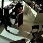 Ladrón rompe a cabezazos la puerta de una cafetería en Argentina (VIDEO) Foto: Ladrón encapuchado roba caja registradora en cafetería/Cortesía