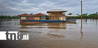 Foto: Lluvias provocan desborde del río Wawashang en Laguna de Perlas/TN8