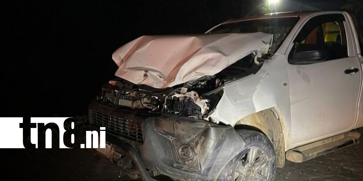 Foto: Vacas sueltas provocan accidente en El Cuá/TN8