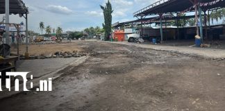 Foto: Terminal de buses El Bisne, Chinandega cambia temporalmente de ubicación / TN8