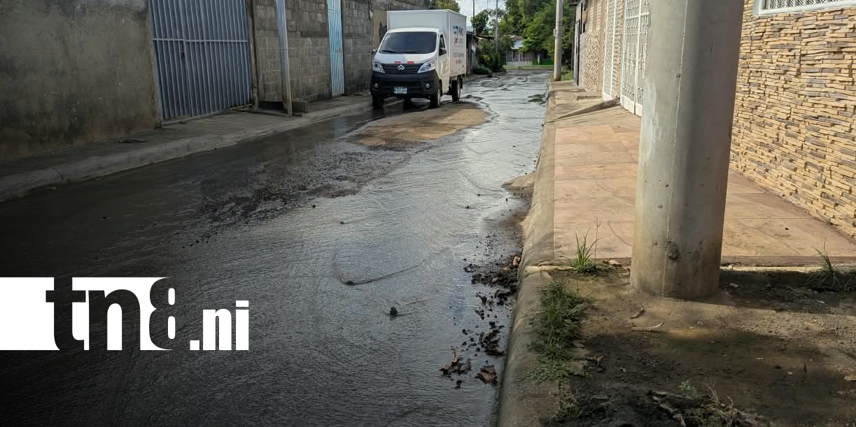 Foto: Fuga de agua preocupa a pobladores de Santa Ana Sur/TN8