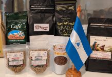 Café de Jinotega llega a Bruselas durante actividad por el Día Internacional del Café Foto: Nicaragua presenta café de Jinotega en encuentro internacional en Bruselas/Cortesía