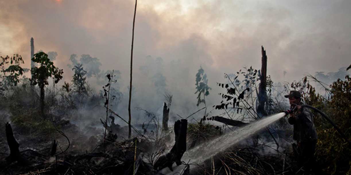 Foto:Indonesia confirma que El Niño agrava incendios en plantaciones de aceite de palma/Cortesía