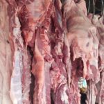 Producción de carne de cerdo en Nicaragua alcanza 19.8 millones de libras Foto: Nicaragua produce 19.8 millones de libras de carne de cerdo en 2026/Cortesía