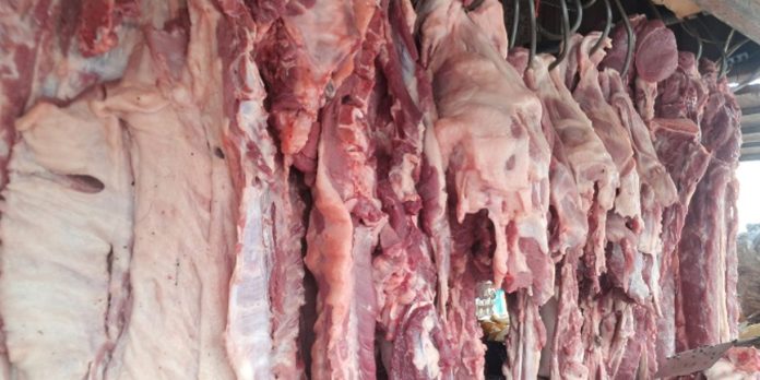 Foto: Nicaragua produce 19.8 millones de libras de carne de cerdo en 2026/Cortesía Foto: Nicaragua produce 19.8 millones de libras de carne de cerdo en 2026/Cortesía