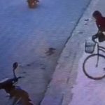 Buscan a delincuente que dejó sin bicicleta a un ciudadano en Rivas Foto: Robo de bicicleta queda grabado por cámaras de seguridad en Rivas/TN8