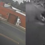 Foto: Dos accidentes por perros en la vía dejan un fallecido en Nicaragua/TN8