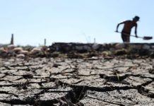 Foto: El Niño podría alcanzar gran intensidad, advierte Carlos Nobre/Cortesía