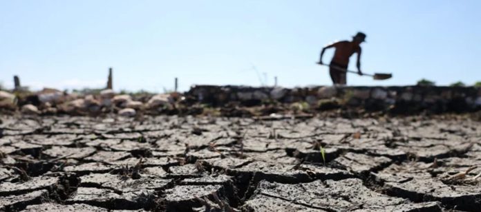 Foto: El Niño podría alcanzar gran intensidad, advierte Carlos Nobre/Cortesía Foto: El Niño podría alcanzar gran intensidad, advierte Carlos Nobre/Cortesía