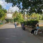 Foto: Encuentran osamenta humana en la Catedral Metropolitana de Managua/TN8