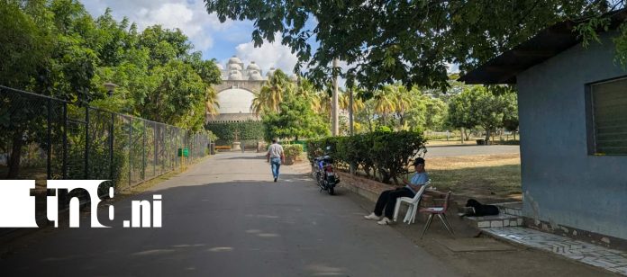 Foto: Encuentran osamenta humana en la Catedral Metropolitana de Managua/TN8