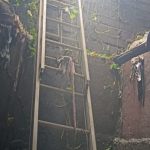 Foto: Adulto mayor resulta lesionado tras caer en un cauce en Camoapa/TN8