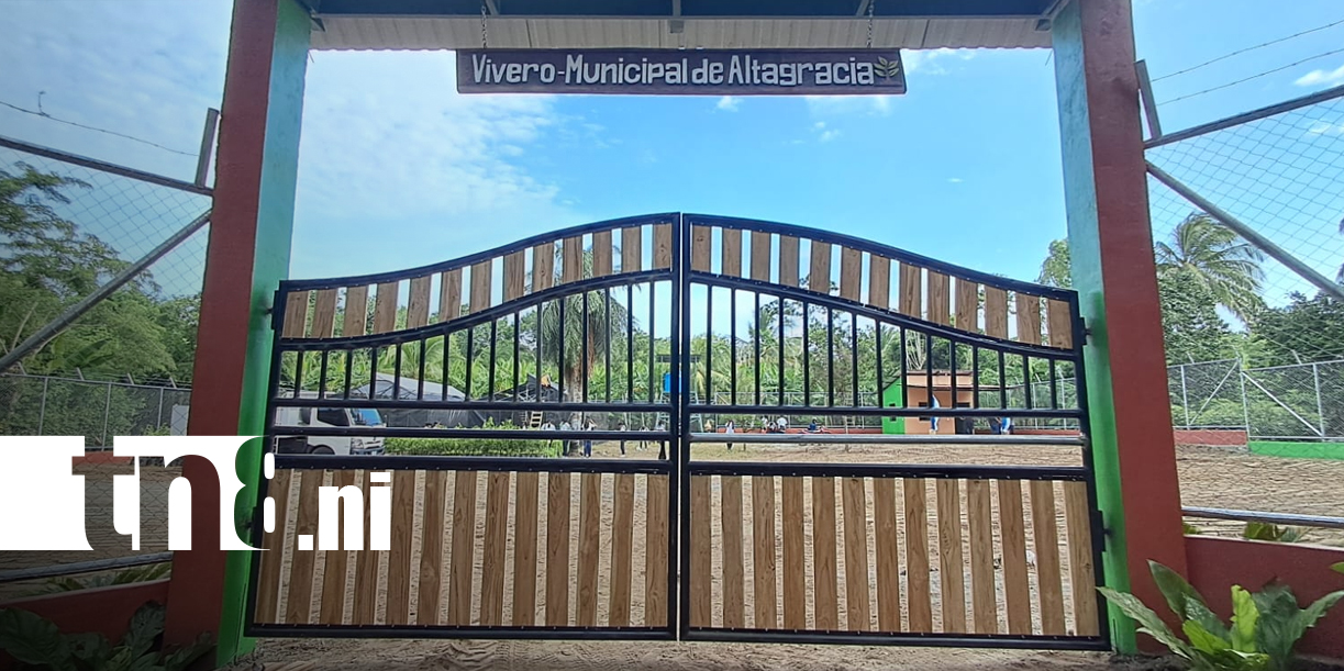 Foto: Nuevo vivero municipal fortalece la reforestación en Ometepe/TN8
