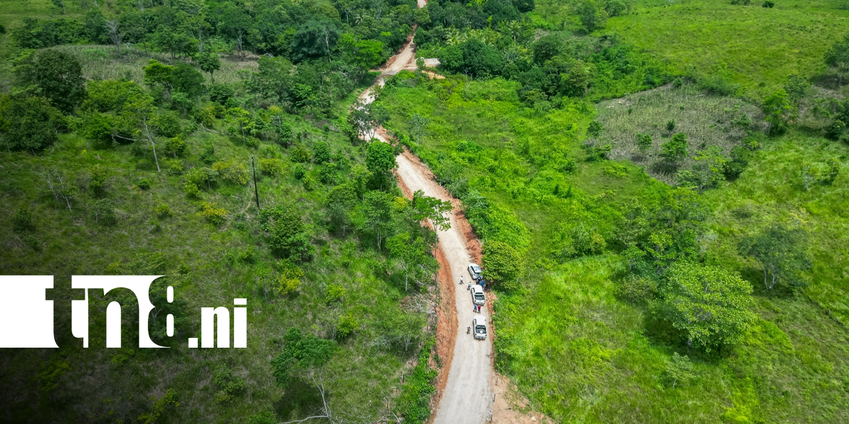 Foto: Puerto Cabezas mejora caminos para facilitar traslado de cosechas/TN8