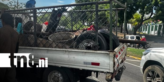 foto: Conductor queda prensado tras impactar contra poste en la Nueva a León/tn8 foto: Conductor queda prensado tras impactar contra poste en la Nueva a León/tn8